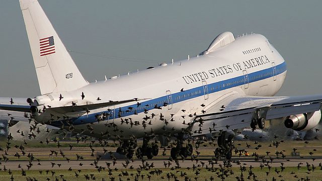 Photo of Avian Radar, A Solution to Bird Strikes?